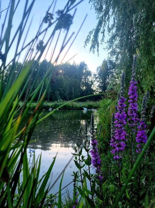La Villa D'Aurel De 140M2, 2 Hectares De Nature Fruges Eksteriør bilde